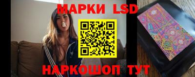 твердый Новозыбков