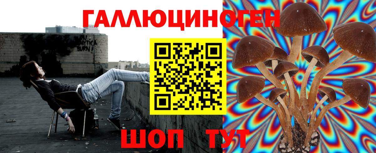 Галлюциногенные грибы Psilocybine cubensis Советск